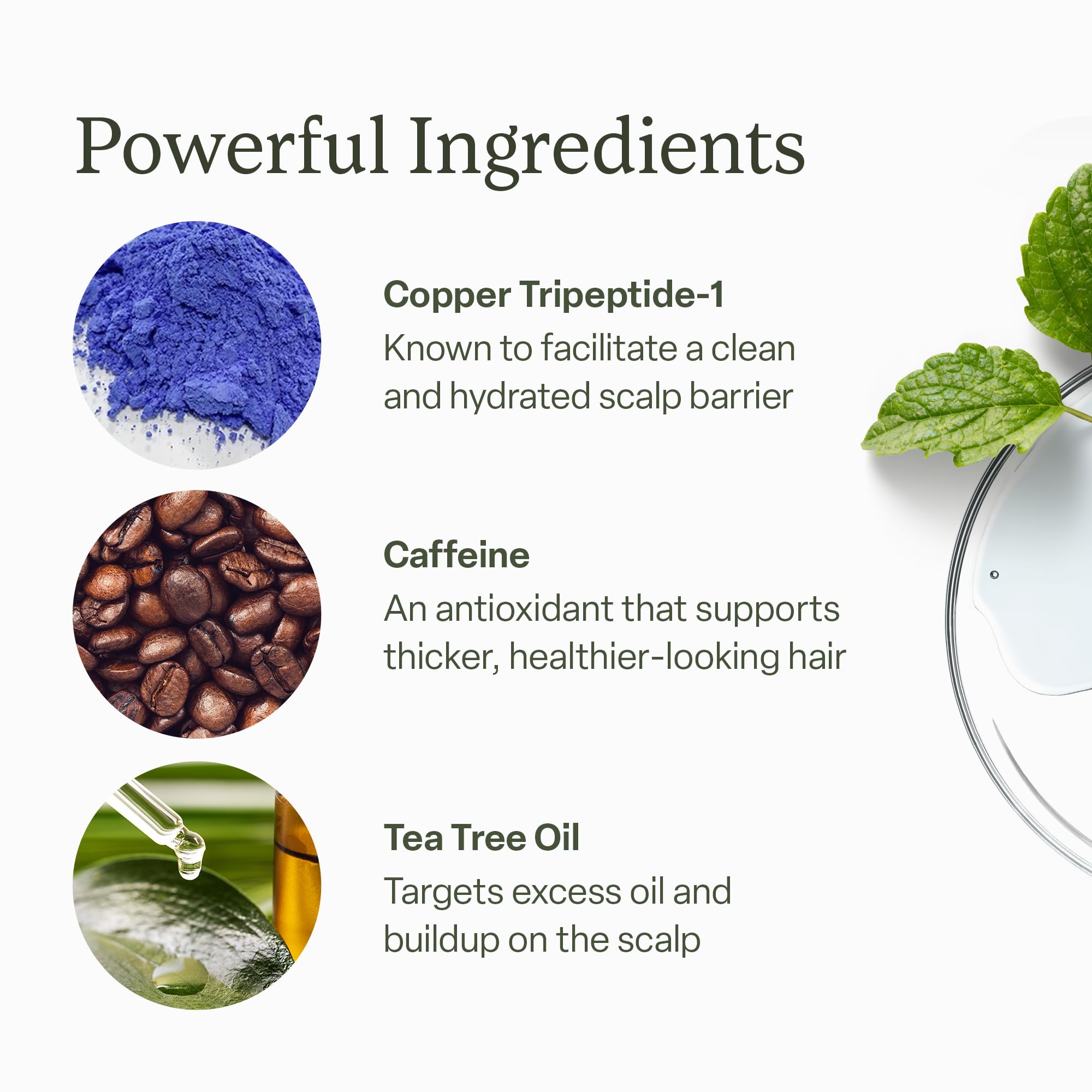 DIVI Scalp Serum | Daily Hair & Scalp Wellness Formula | Amino Acids, Caffeine & Rosemary Oil | Reduces Oil & Product Buildup
